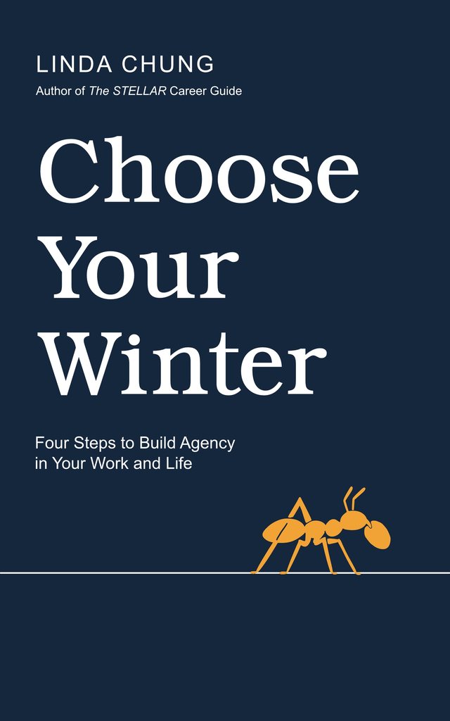 Choose Your Winter book cover by Linda Chung